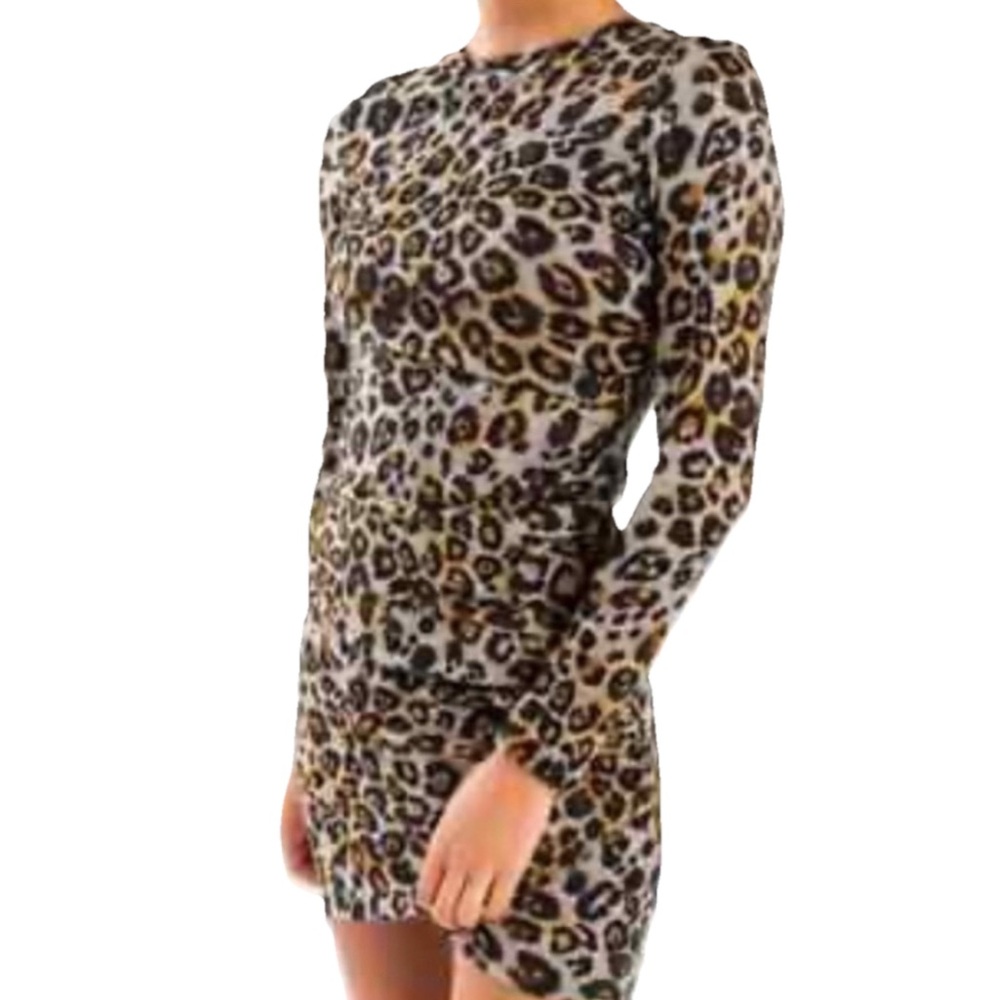 Francesca's Collections June & Ivy Leopard Print Long Sleeve Dress XS
